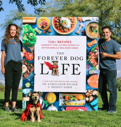 Forever Dog Life - New York Times Best Seller - The Forever Dog Life