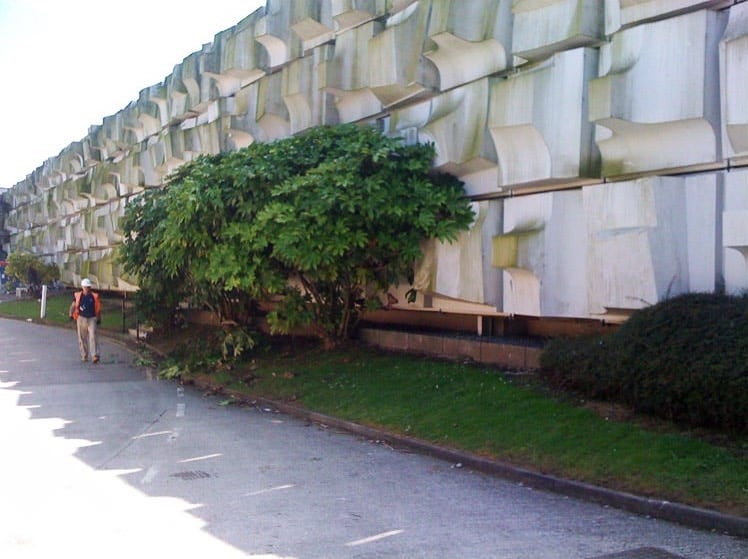 The Falmouth Frieze as installed at Leo's