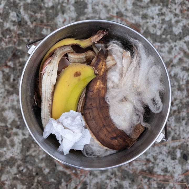 Diptych. Banana Peels in Compost.