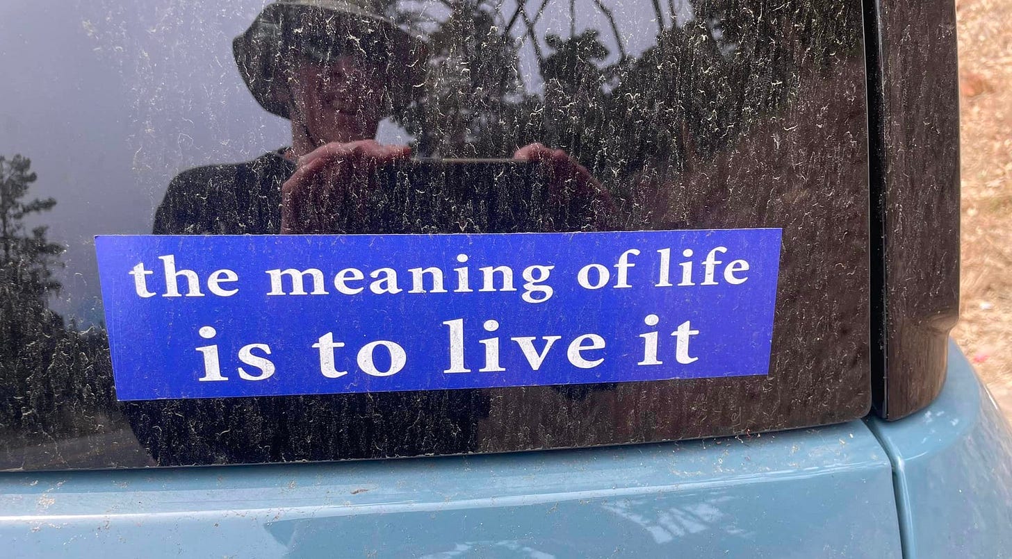 May be an image of text that says 'the meaning of life is to live it'