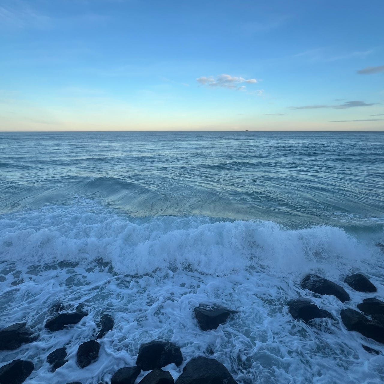 The Delinquent Academic