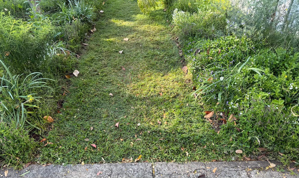 grass path with garden on both sides grass path with garden on both sides