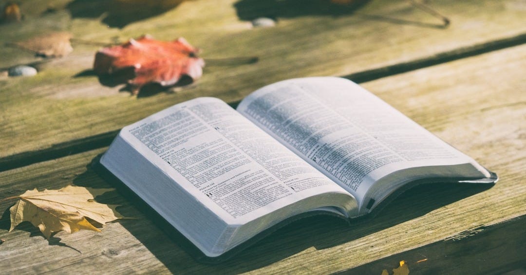 open bible book on brown wooden panel open bible book on brown wooden panel