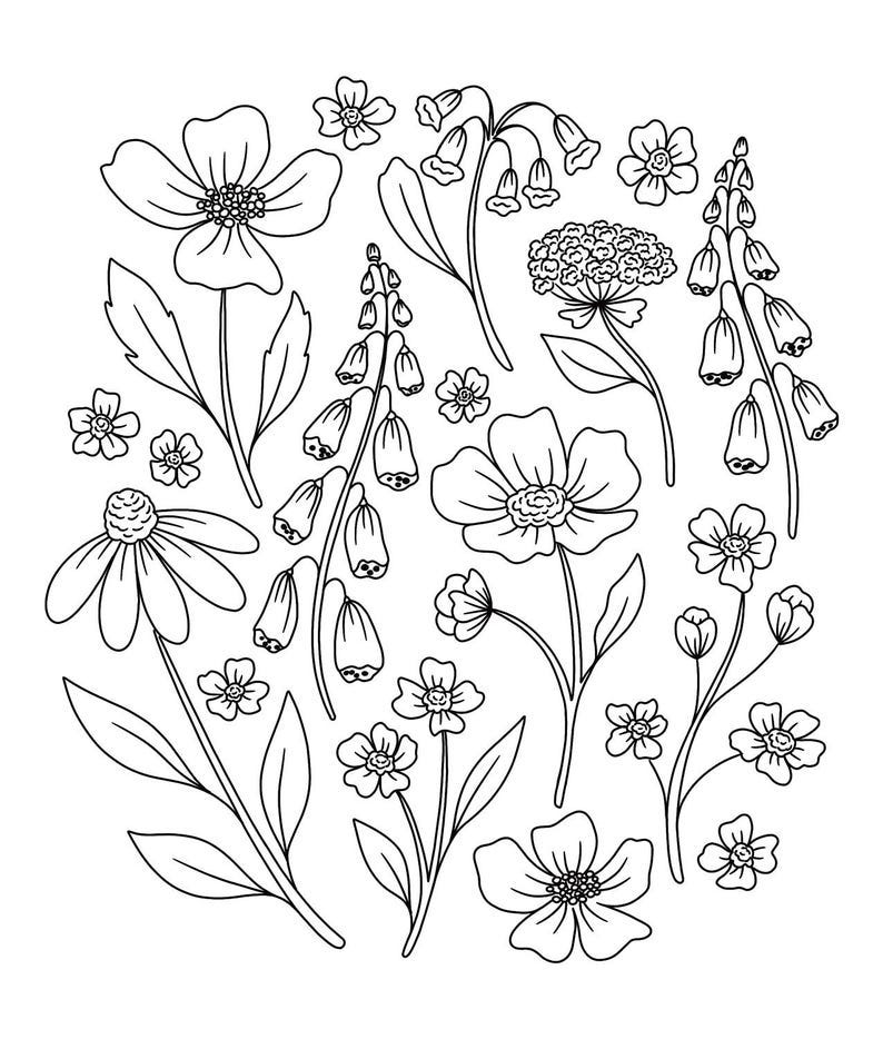 May include: A black and white line drawing of various flowers, including daisies, bellflowers, and other wildflowers. The flowers are arranged in a circular pattern.
