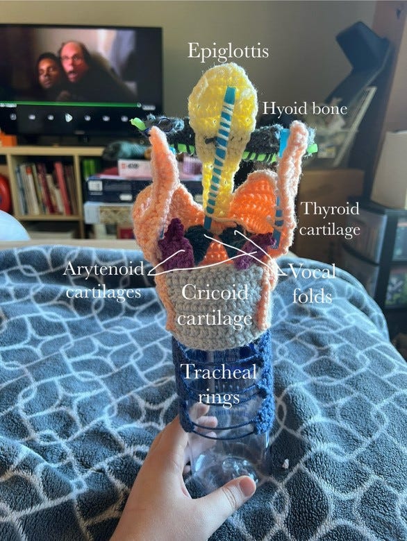 Photo of a crocheted vocal tract using multiple coloured yarns, constructed around a plastic water bottle and held up using straws.