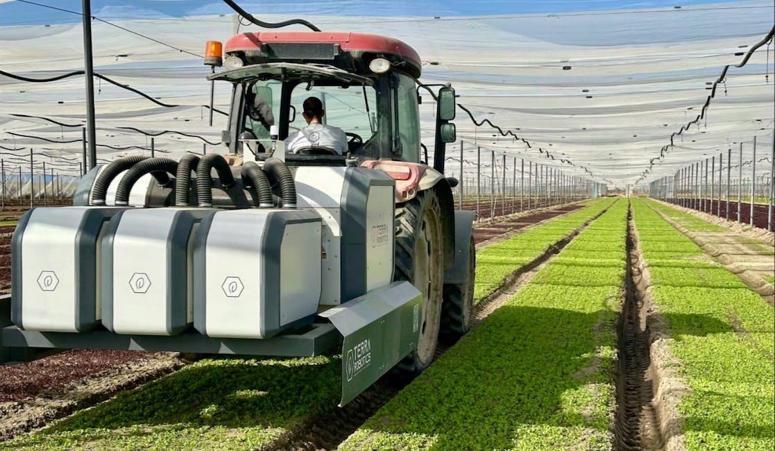 Tractor equipped with Terra Robotics machinery drives through a large greenhouse over rows of young leafy crops, with a translucent canopy overhead and a person seated in the cab. Tractor