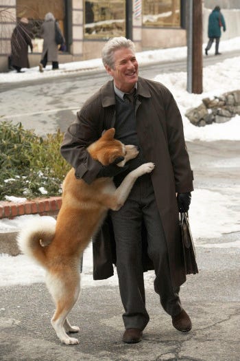 Hachi - inside Hachi - inside