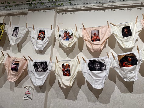 Art Installation with Knickers - Suzy Starlite