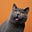 pokey939's avatar