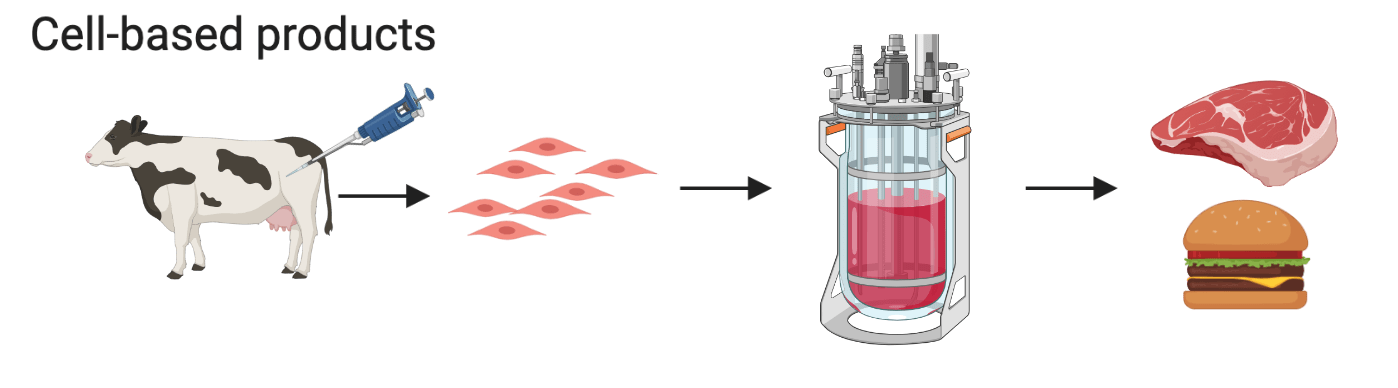 Cellular agriculture | Office of the Prime Minister's Chief Science Advisor
