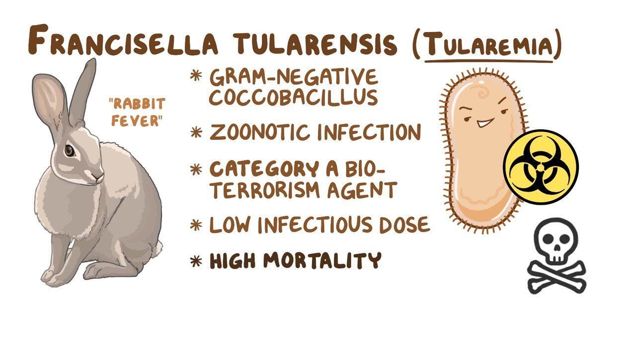 Francisella tularensis (Tularemia): Video, Causes, & Meaning | Osmosis