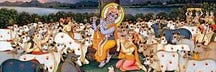 Madhava’s Newsletter