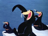 Seal Claps GIFs - Find & Share on GIPHY Seal Claps GIFs - Find & Share on GIPHY