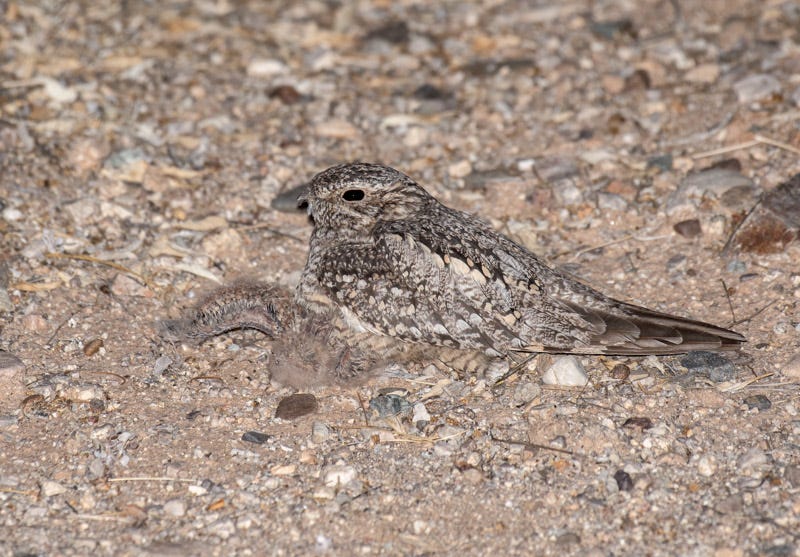 20200623_LN-56-Edit.jpg 20200623_LN-56-Edit.jpg