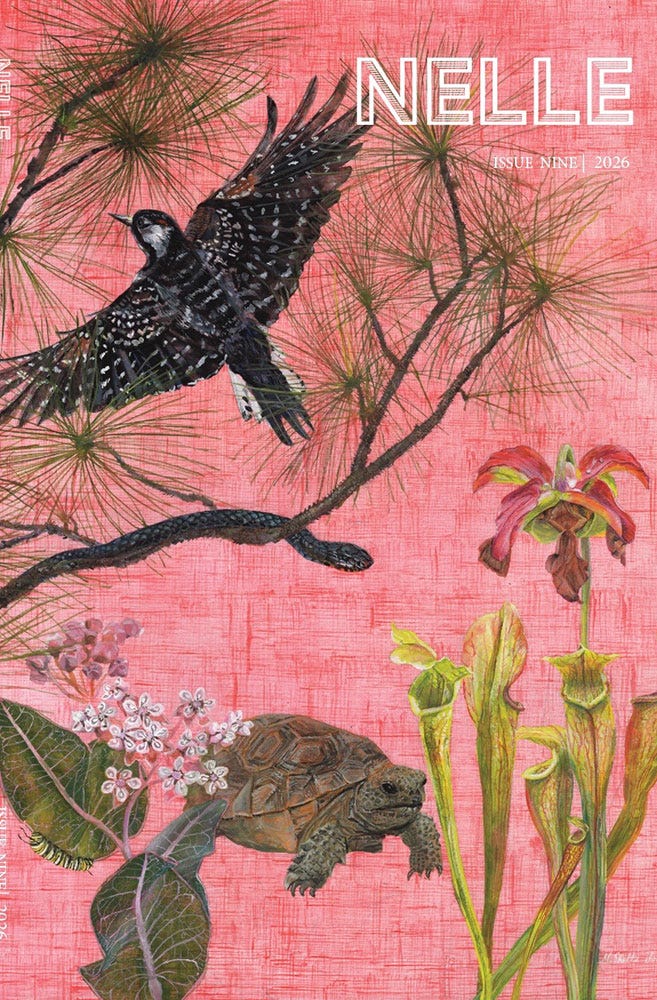 A textured pink background shows illustrations of several animals and alabama-native plants. A textured pink background shows illustrations of several animals and alabama-native plants.
