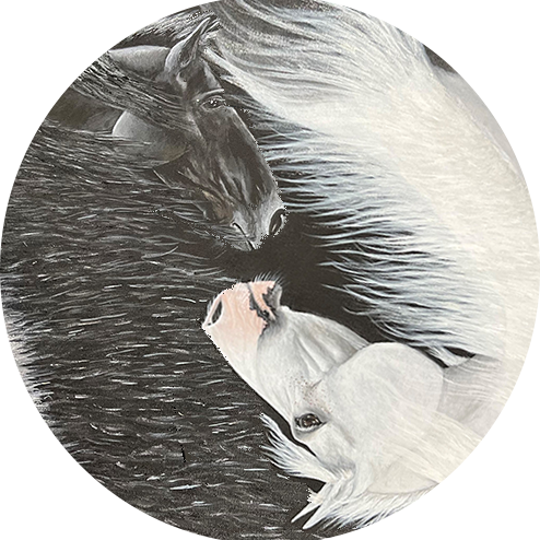 The Gray Horse Diaries