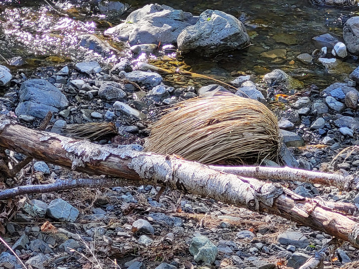 Las Tentaciones de Cristo – Parte 2