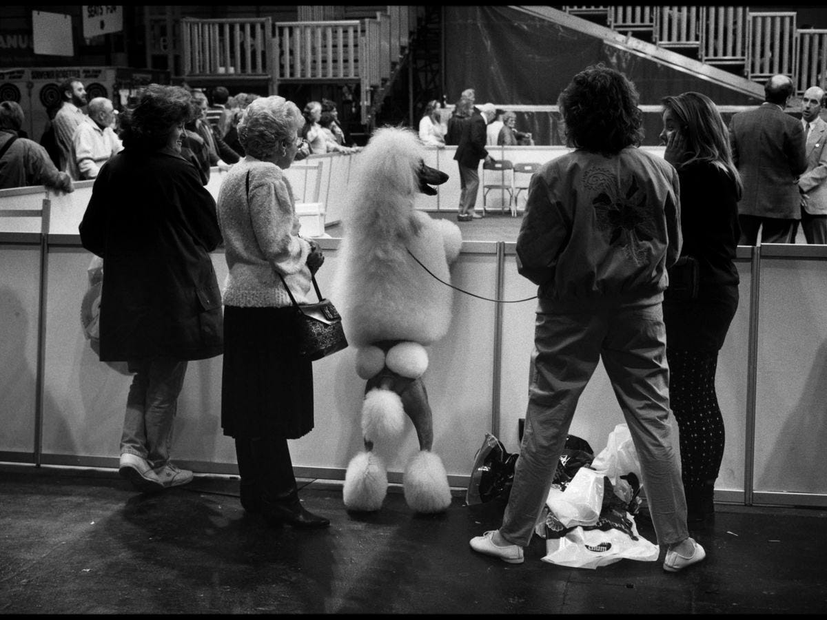 Elliott Erwitt au Musée Maillol : 5 bonnes raisons d'aller voir la  réjouissante rétrospective de cet immense photographe