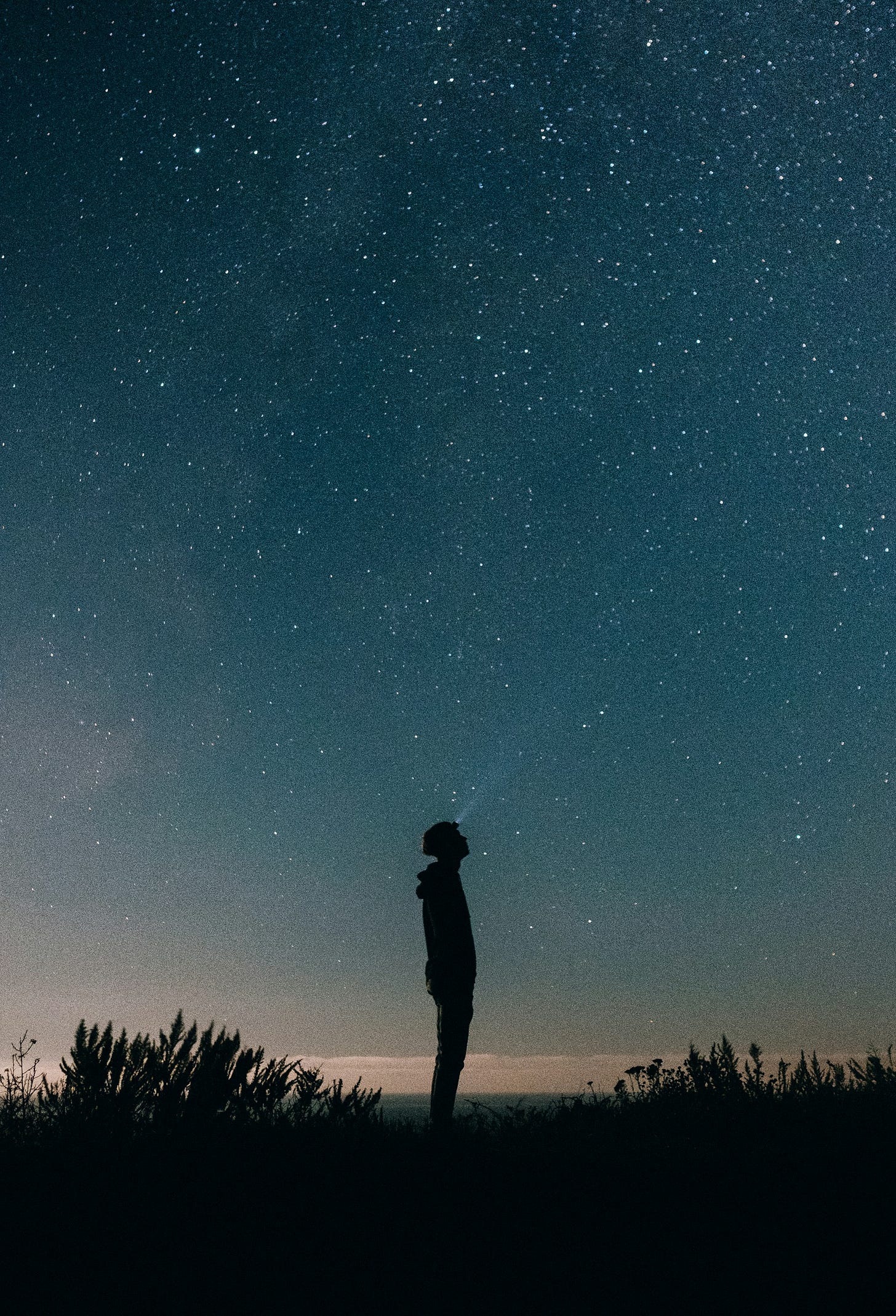 Among the Stars Among the Stars
