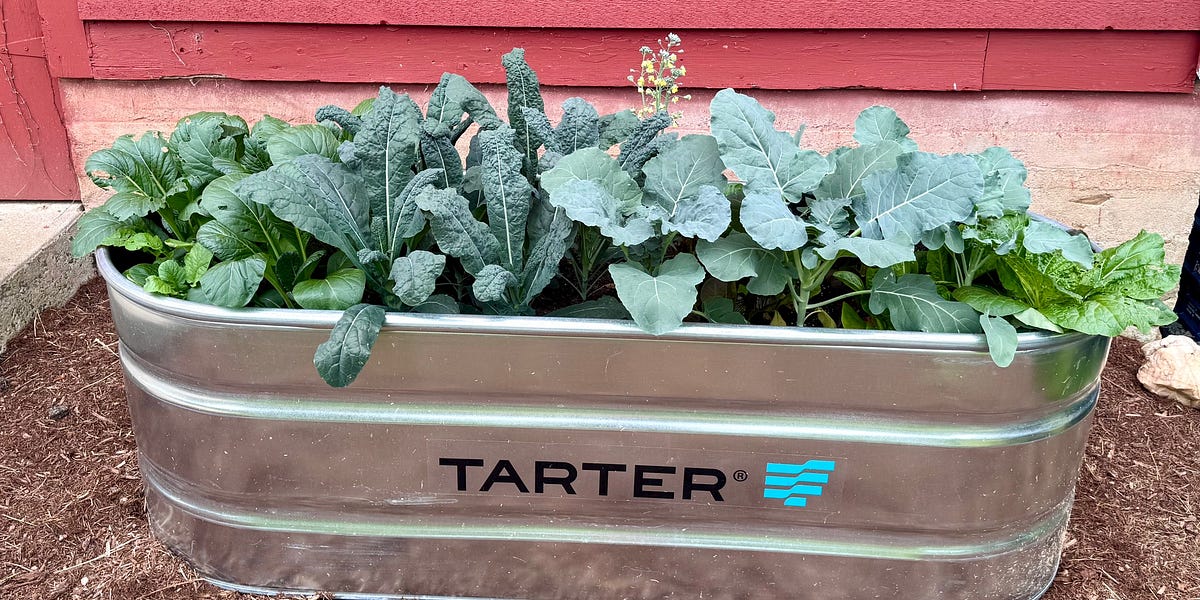 how to convert a stock tank into a raised bed garden