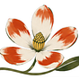 MagnoliAndina's avatar
