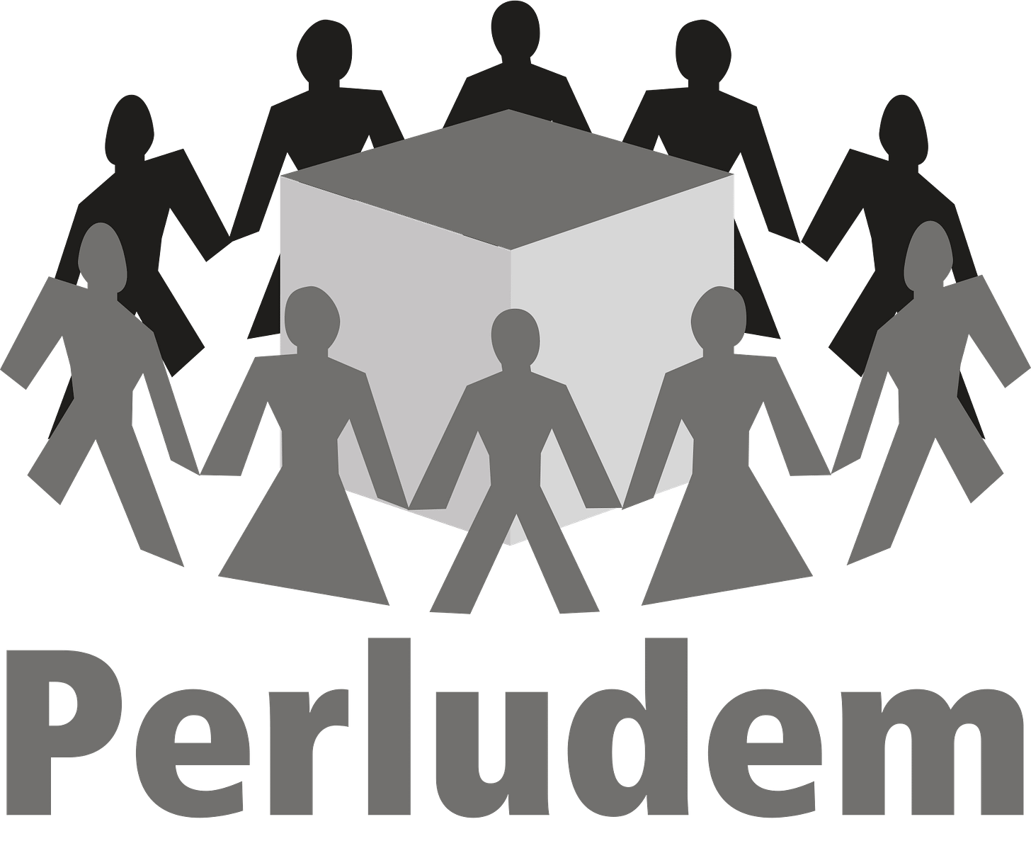 Perludem (Association for Elections and Democracy, Indonesia) |  International IDEA