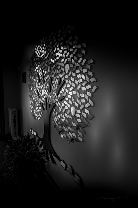 ceiling art, chessboard, sign in library that says "read," feng shui beads, artistic tree
