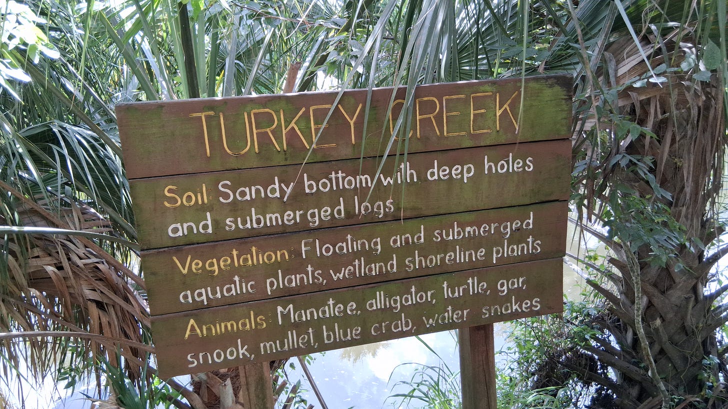 Turkey Creek, Palm Bay, Florida