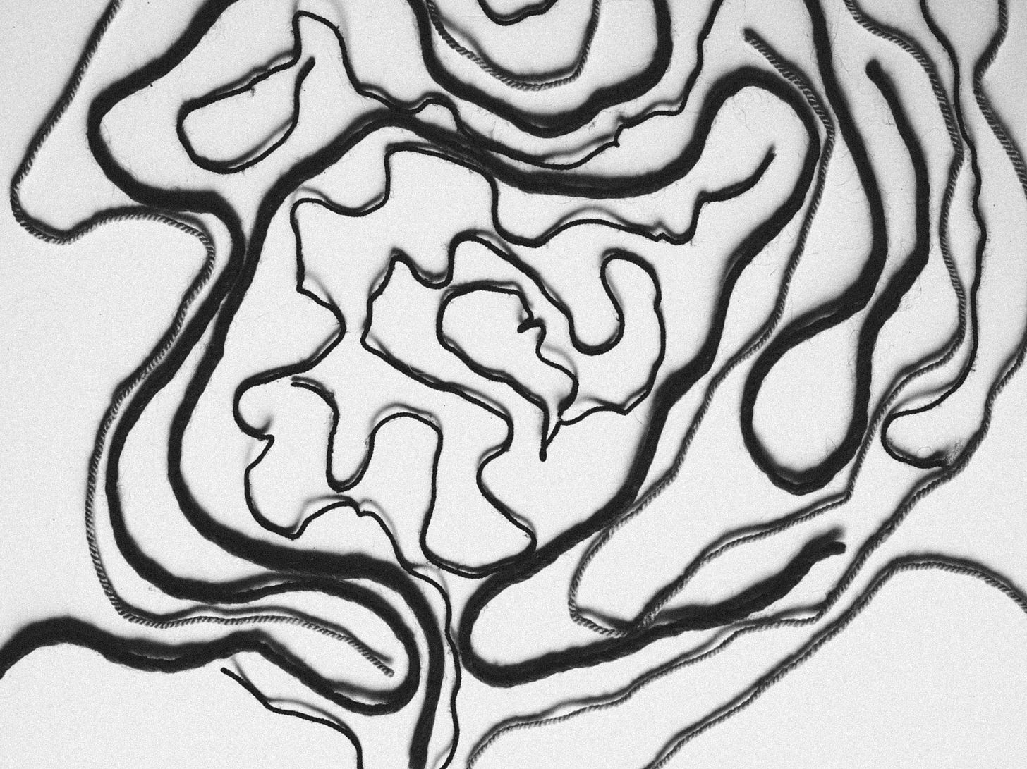 A black and white image of different lengths of wiggly string and yarn