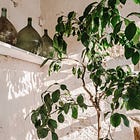 Redefining How I Consume Content 