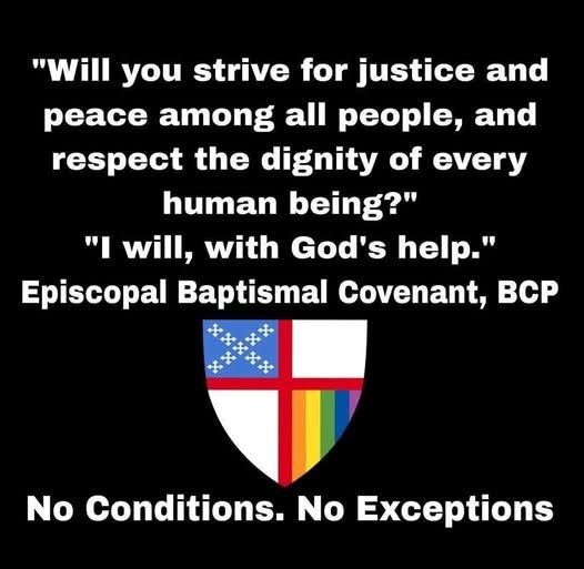 May be an image of text that says '"Will you strive for justice and peace among all people, and respect the dignity of of every human being?" "Ⅰ will, with God's help." Episcopal Baptismal Covenant, BCP No Conditions. No Exceptions'