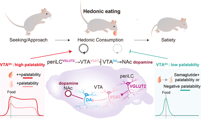 graphic file with name nihms-2070302-f0009.jpg graphic file with name nihms-2070302-f0009.jpg