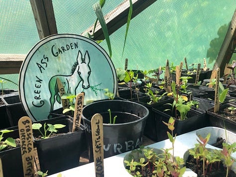 images of a community garden