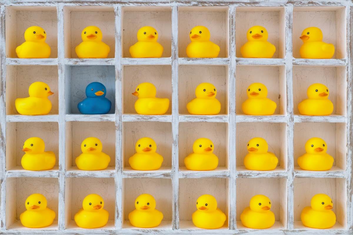 The iconoclast: Diversity – or equal opportunity? - 17 Global Goals