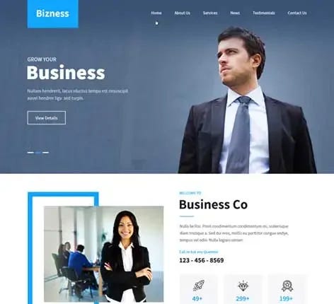 Bizness Pro - Responsive Business WordPress theme