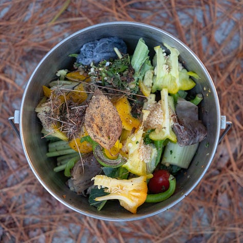A grid of nine tin buckets of compost.
