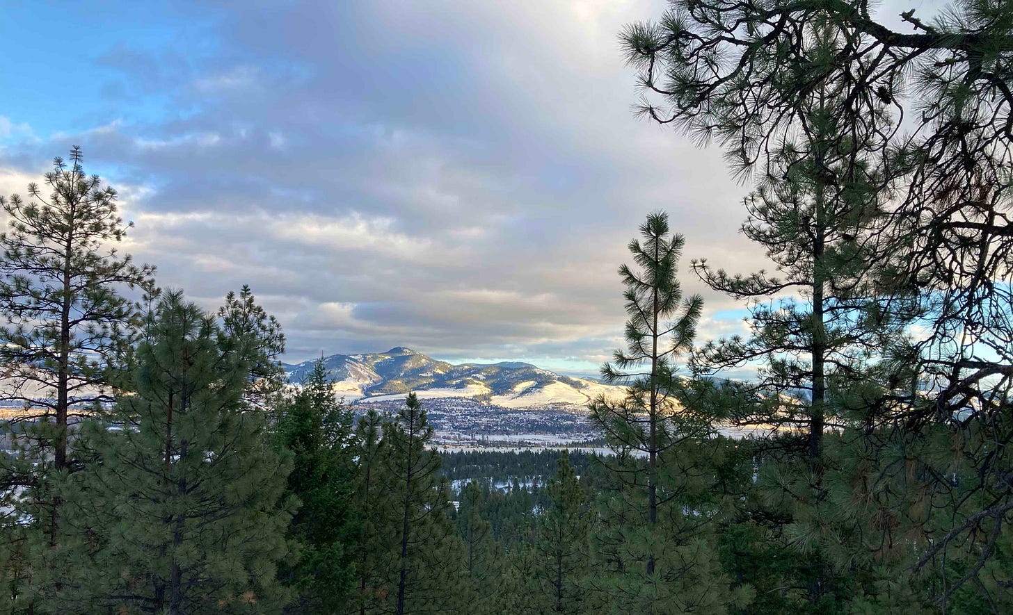 Missoula and snowy mountains seen through trees