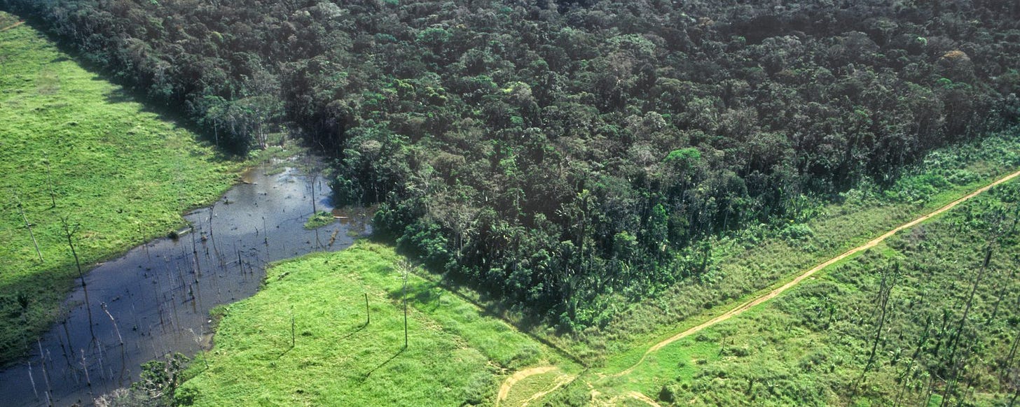 edge of the Amazon showing deforestation