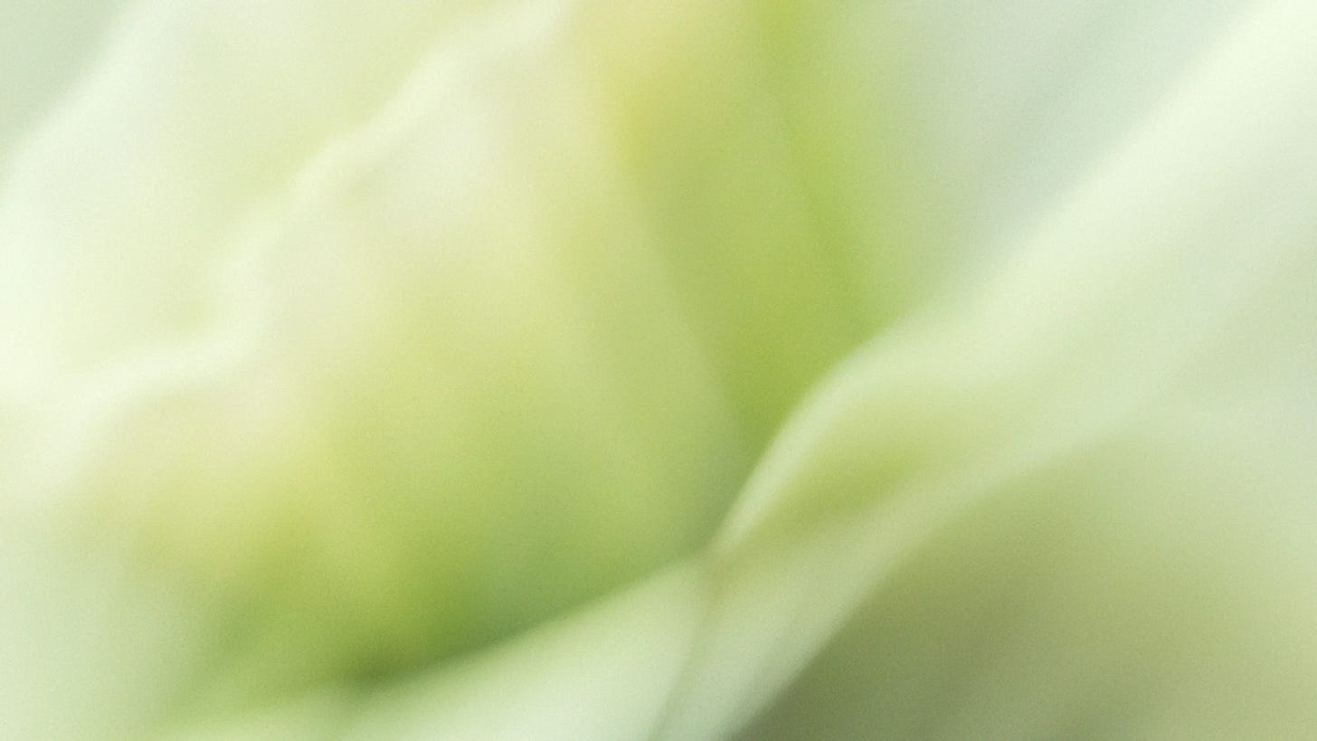 Soft abstract gradient in light green and cream tones with gentle, blurred transitions.