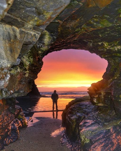 May be an image of 1 person and nature