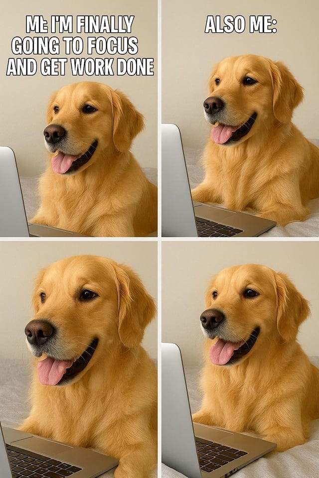 r/ChatGPT - Funny r/ChatGPT - Funny