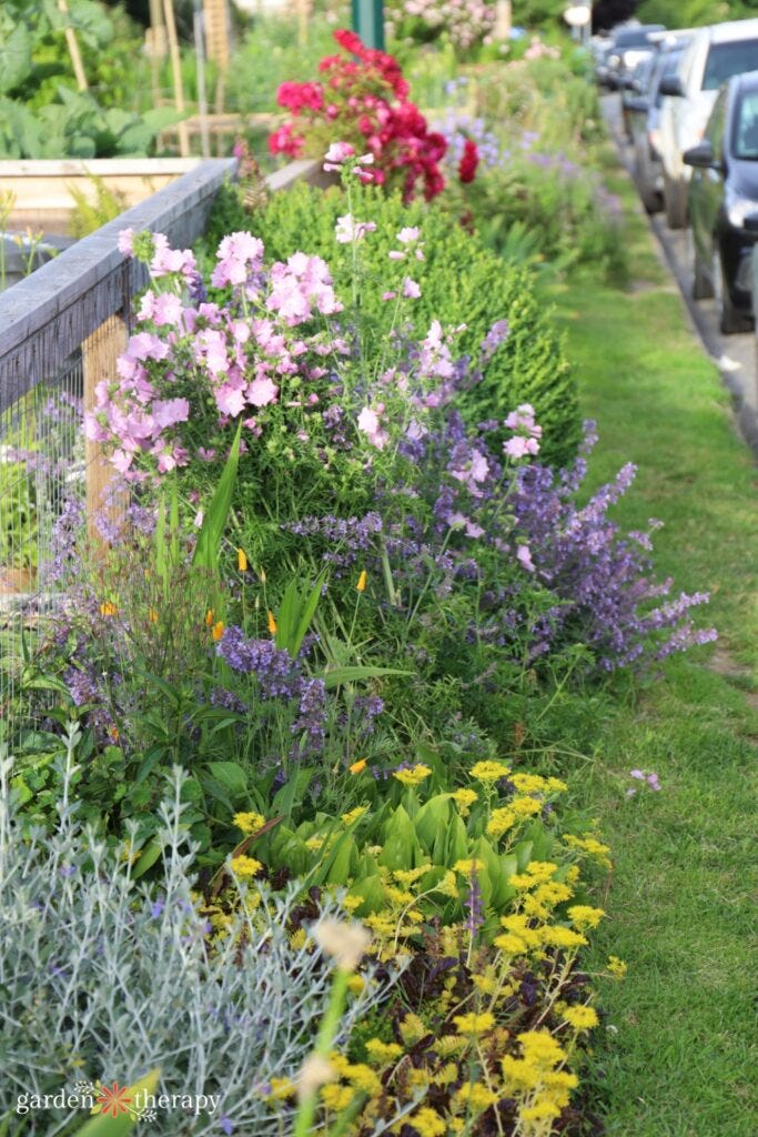 wildlife border along raised bed wildlife border along raised bed