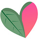 Wild Heart Nature Connection's avatar