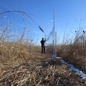 Interview with Will Yandik (Green Acres Farm): Navigating Uncertain Times Guided by Birds and Science