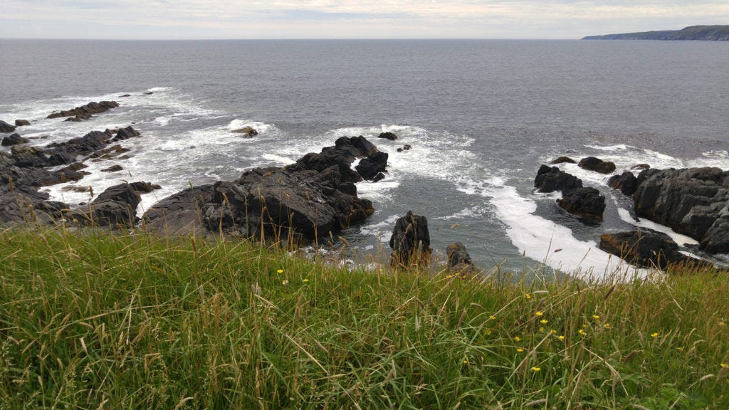 Trepassey, NL | on the Irish Loop | Bob's Newfoundland