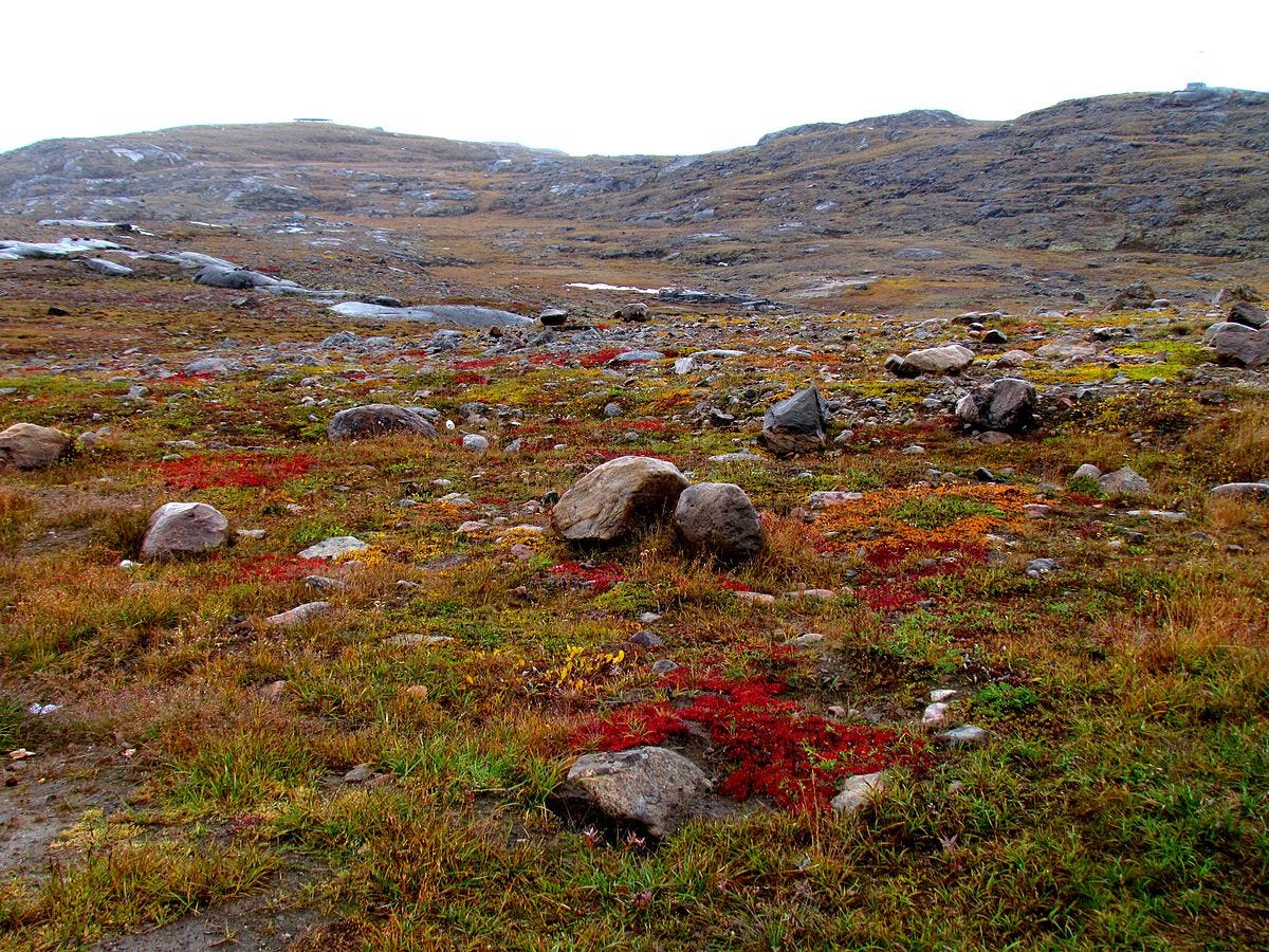 File:Nunavut tundra -c.jpg - Wikimedia Commons