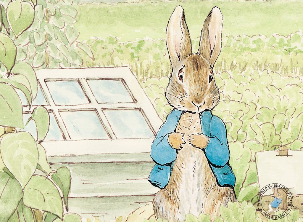 peter-rabbit Beatrix Potter – Linternas y bosques