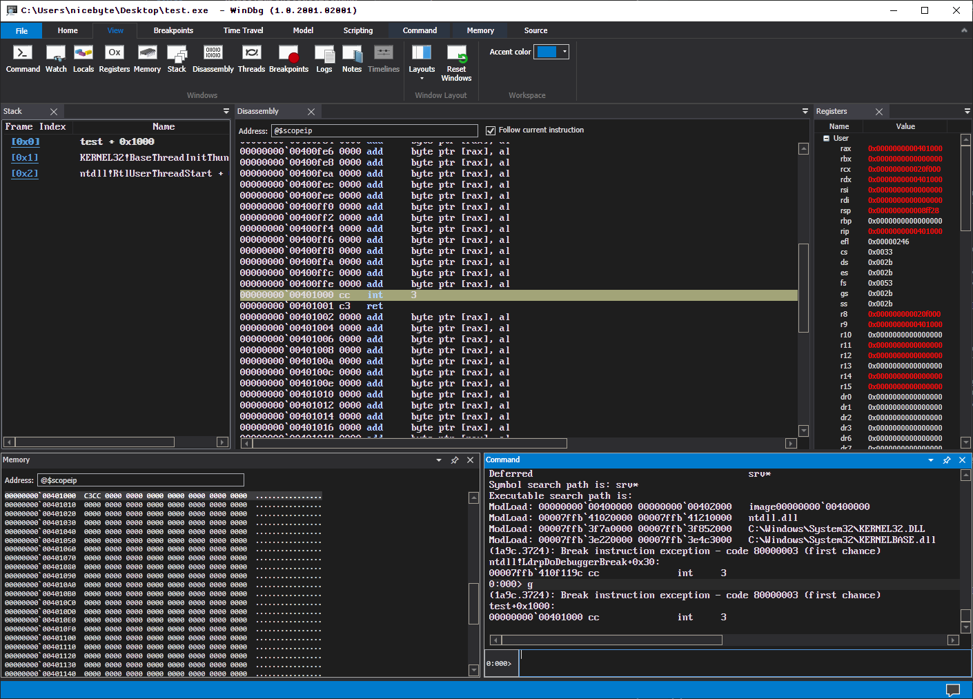 x86-64 assembly code in WinDbg debugger