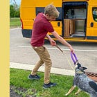 How we keep our dog happy on long driving days