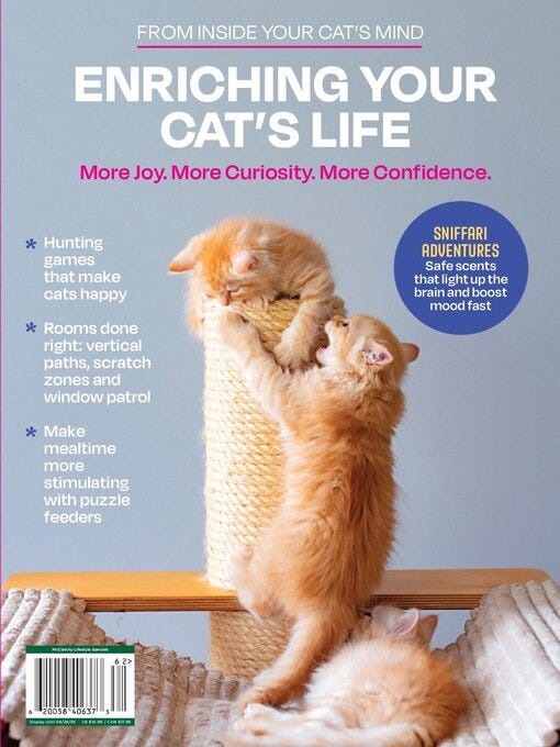 Cover image for Inside Your Cat's Mind: Enriching Your Cat's Life